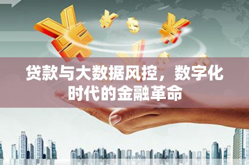 房县贷款与大数据风控，数字化时代的金融革命