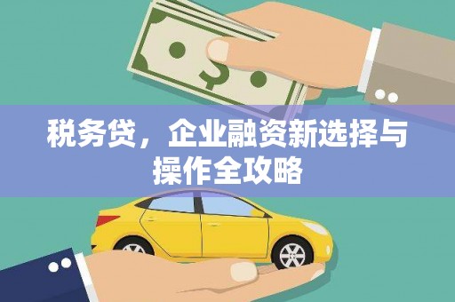 房县税务贷，企业融资新选择与操作全攻略