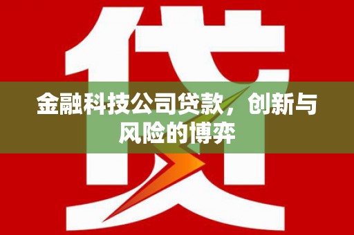房县金融科技公司贷款，创新与风险的博弈