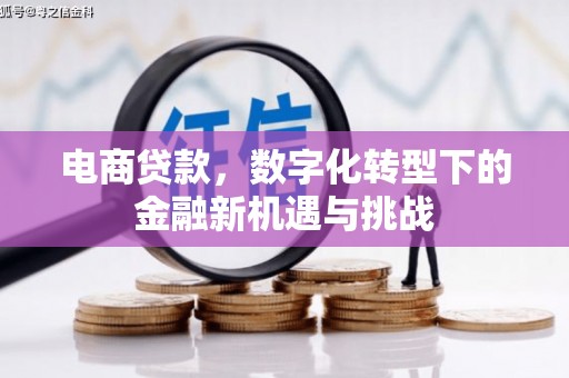 房县电商贷款，数字化转型下的金融新机遇与挑战