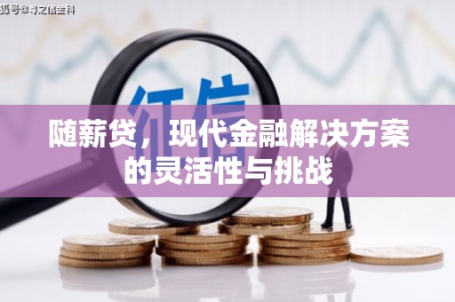 房县随薪贷，现代金融解决方案的灵活性与挑战