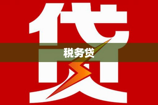 房县税务贷
