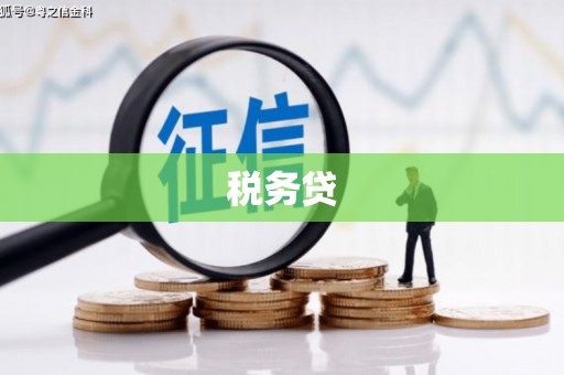 房县税务贷