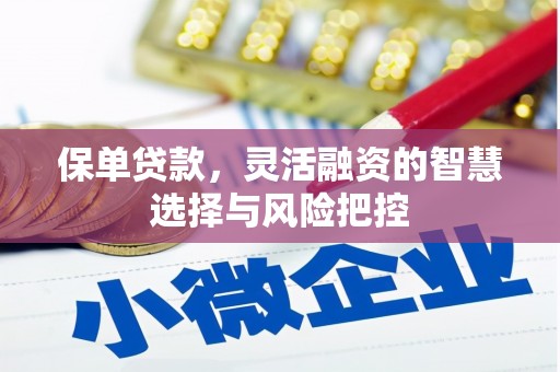 房县保单贷款，灵活融资的智慧选择与风险把控
