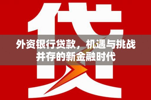 房县外资银行贷款，机遇与挑战并存的新金融时代