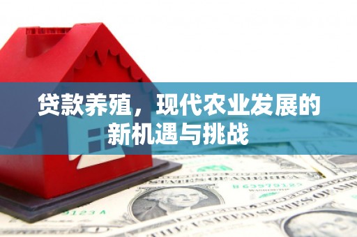 房县贷款养殖，现代农业发展的新机遇与挑战