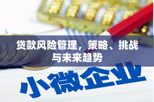 房县贷款风险管理，策略、挑战与未来趋势