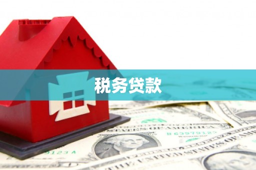 房县税务贷款