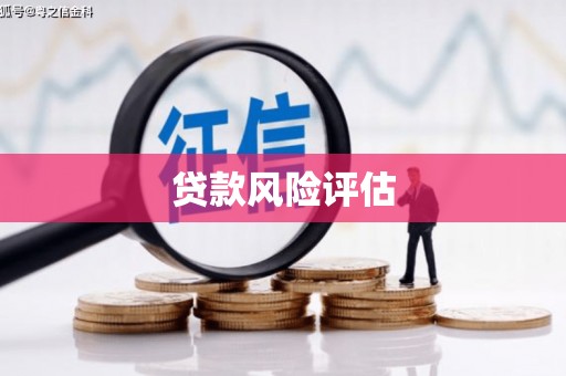 房县贷款风险评估