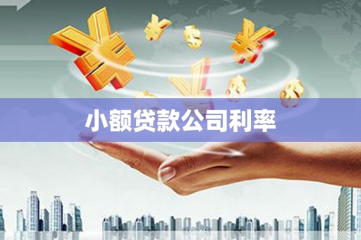 房县小额贷款公司利率