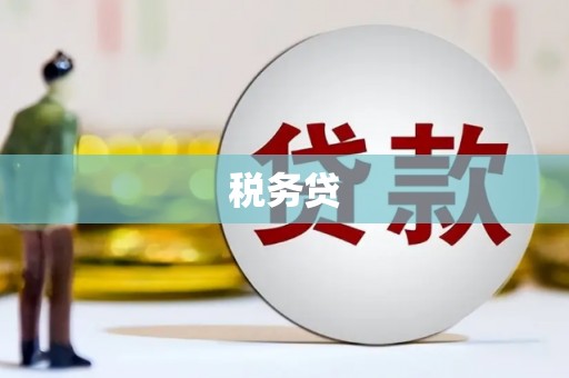 房县税务贷