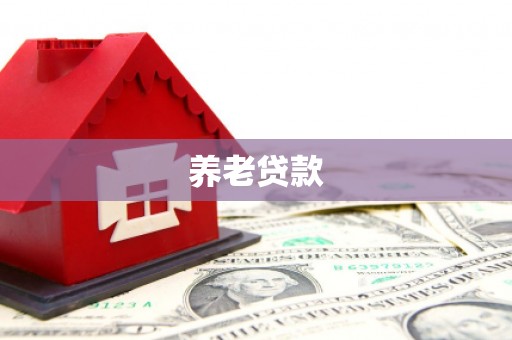 房县养老贷款