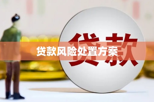 房县贷款风险处置方案
