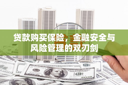 房县贷款购买保险，金融安全与风险管理的双刃剑