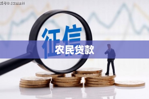 房县农民贷款