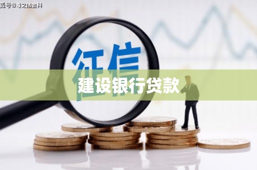 房县建设银行贷款