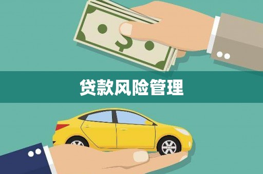 房县贷款风险管理