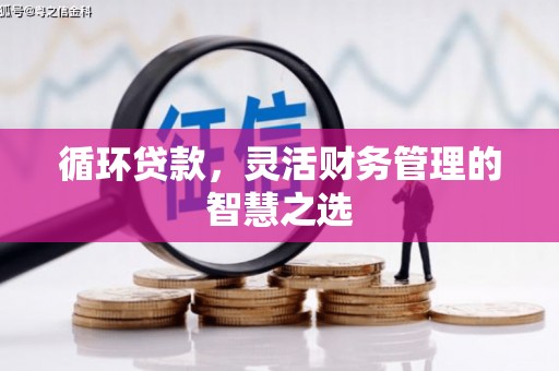 房县循环贷款，灵活财务管理的智慧之选