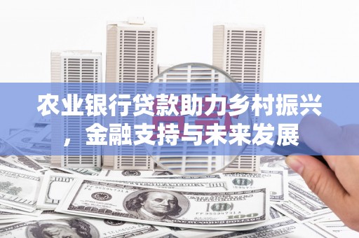 房县农业银行贷款助力乡村振兴，金融支持与未来发展