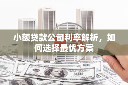 房县小额贷款公司利率解析，如何选择最优方案