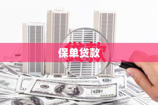 房县保单贷款
