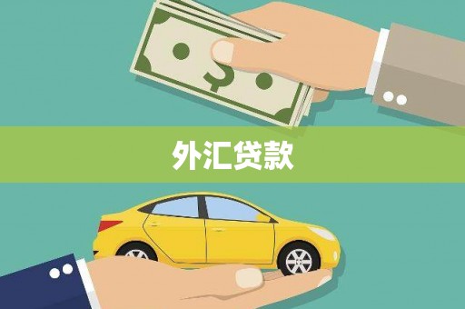 房县外汇贷款