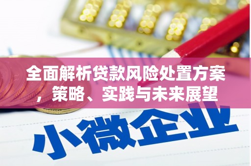房县全面解析贷款风险处置方案，策略、实践与未来展望