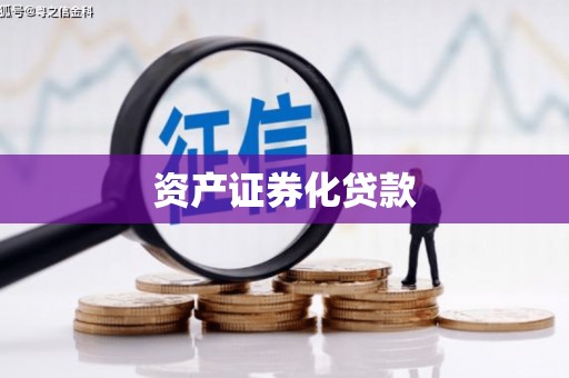 房县资产证券化贷款