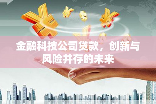 房县金融科技公司贷款，创新与风险并存的未来