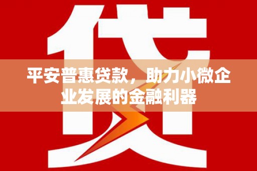 房县平安普惠贷款，助力小微企业发展的金融利器