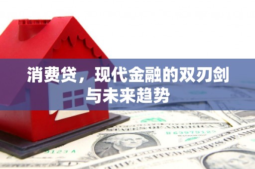 房县消费贷，现代金融的双刃剑与未来趋势