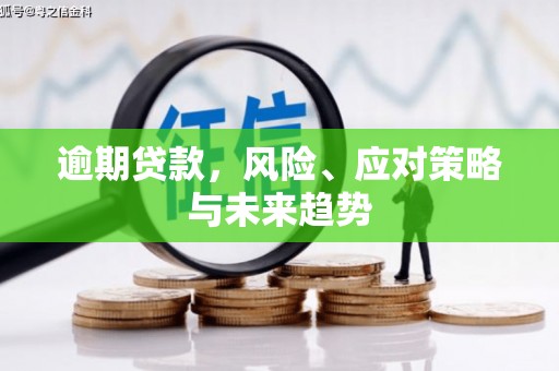 房县逾期贷款，风险、应对策略与未来趋势