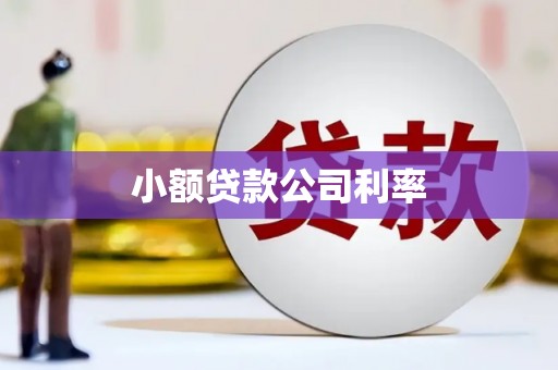 房县小额贷款公司利率
