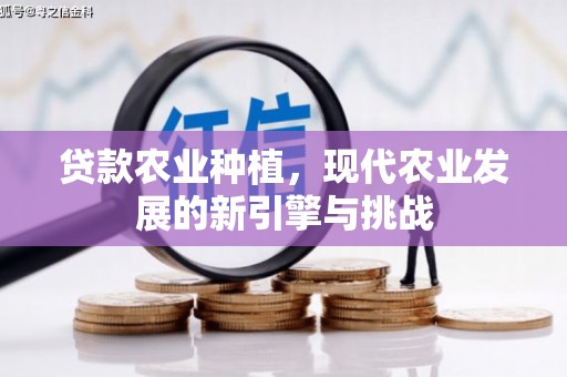 房县贷款农业种植，现代农业发展的新引擎与挑战