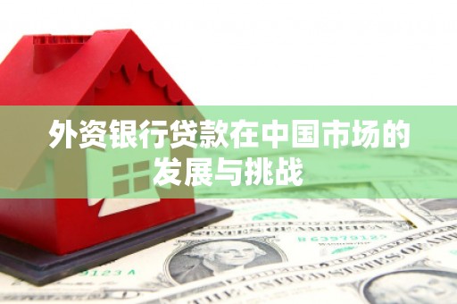 房县外资银行贷款在中国市场的发展与挑战