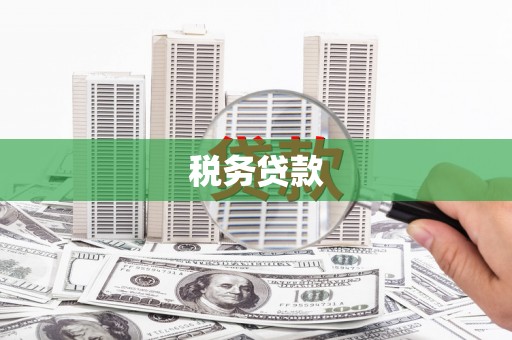 房县税务贷款