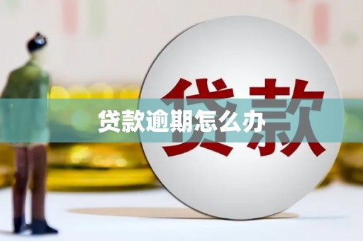 房县贷款逾期怎么办