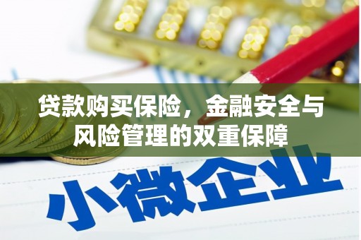房县贷款购买保险，金融安全与风险管理的双重保障