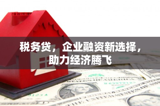 房县税务贷，企业融资新选择，助力经济腾飞