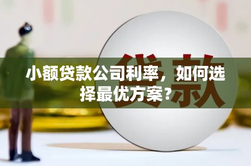 房县小额贷款公司利率，如何选择最优方案？