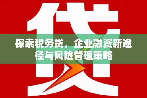 房县探索税务贷，企业融资新途径与风险管理策略