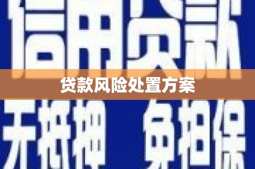 房县贷款风险处置方案
