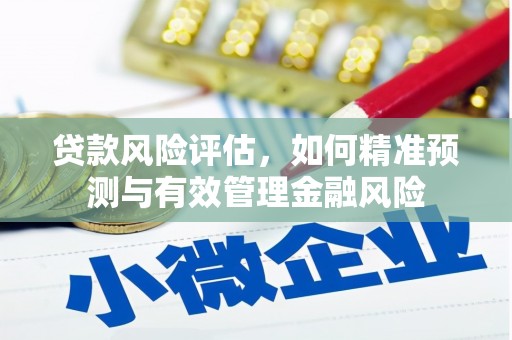 房县贷款风险评估，如何精准预测与有效管理金融风险