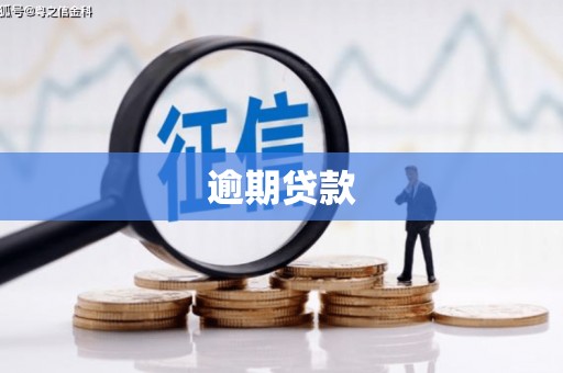 房县逾期贷款