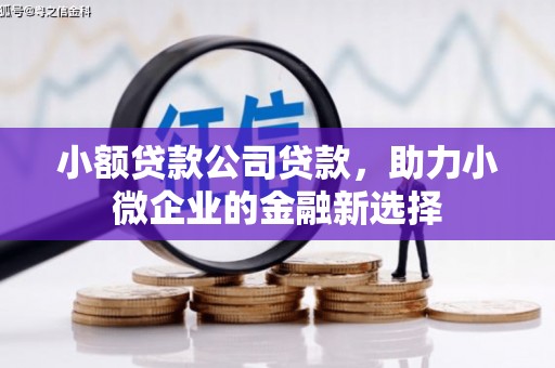 房县小额贷款公司贷款，助力小微企业的金融新选择