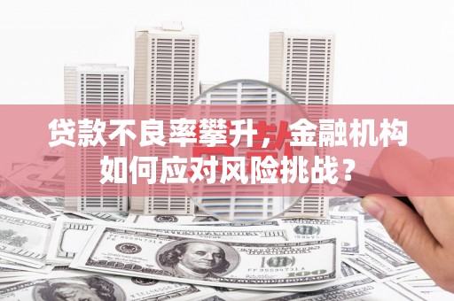 房县贷款不良率攀升，金融机构如何应对风险挑战？