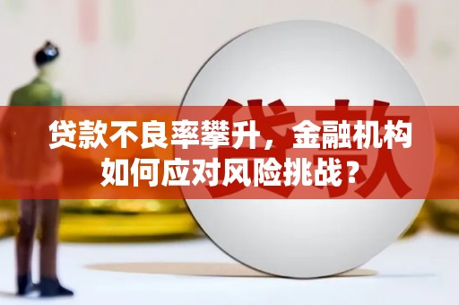 房县贷款不良率攀升，金融机构如何应对风险挑战？