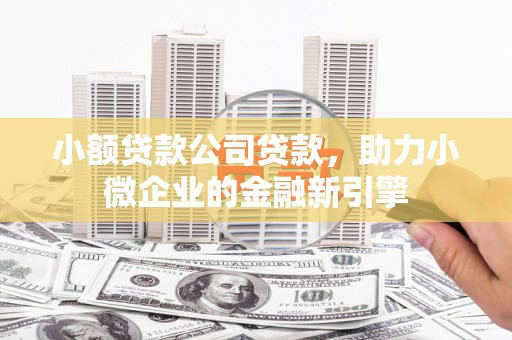 房县小额贷款公司贷款，助力小微企业的金融新引擎