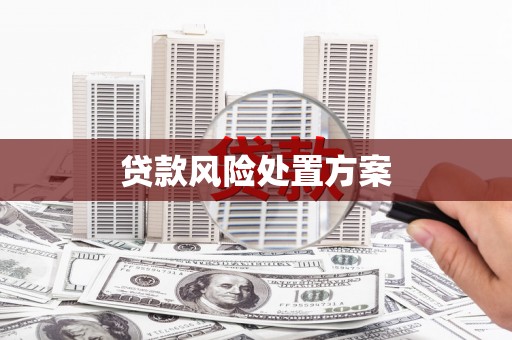 房县贷款风险处置方案