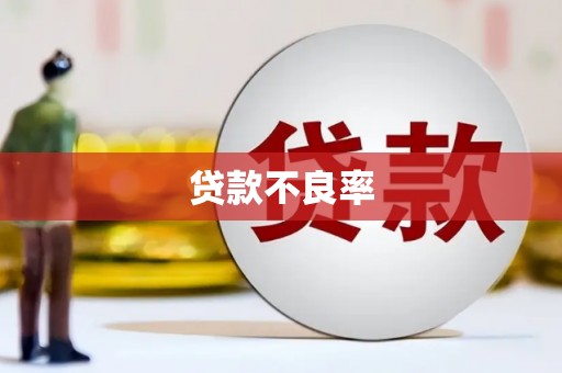 房县贷款不良率
